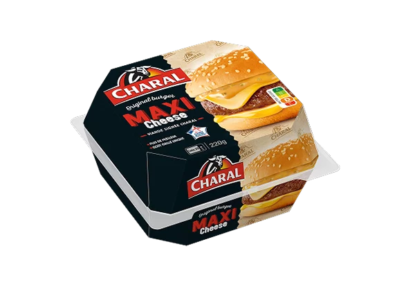 Image d'illustration